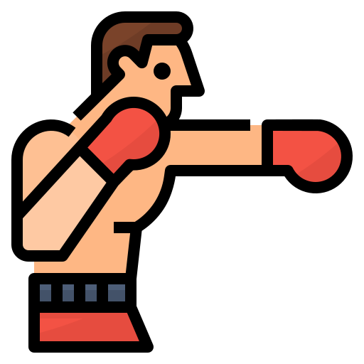 a boxer